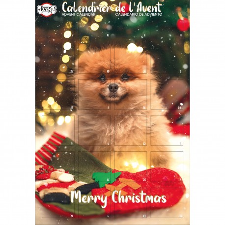 DOOGY ADVENT CALENDAR FOR DOG - BISCUITS 168GR DSC