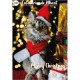 DOOGY ADVENT CLAENDAR FOR CATS - BISCUITS 96GR DSC