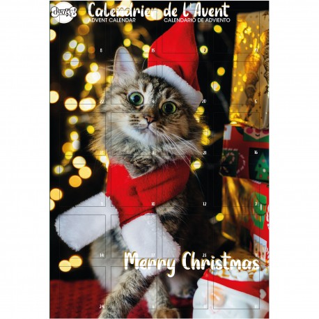 DOOGY ADVENT CLAENDAR FOR CATS - BISCUITS 96GR DSC