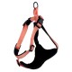 PEACH HARNESS CLASSICA