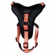 PEACH HARNESS CLASSICA