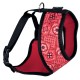 RED BANDANA HARNESS