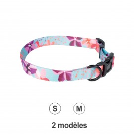 DOG COLLAR PARADISE