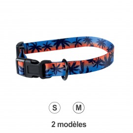 DOG COLLAR FLORIDA