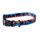 DOG COLLAR FLORIDA