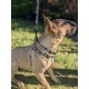 LEASH SAHARA  S 120CM